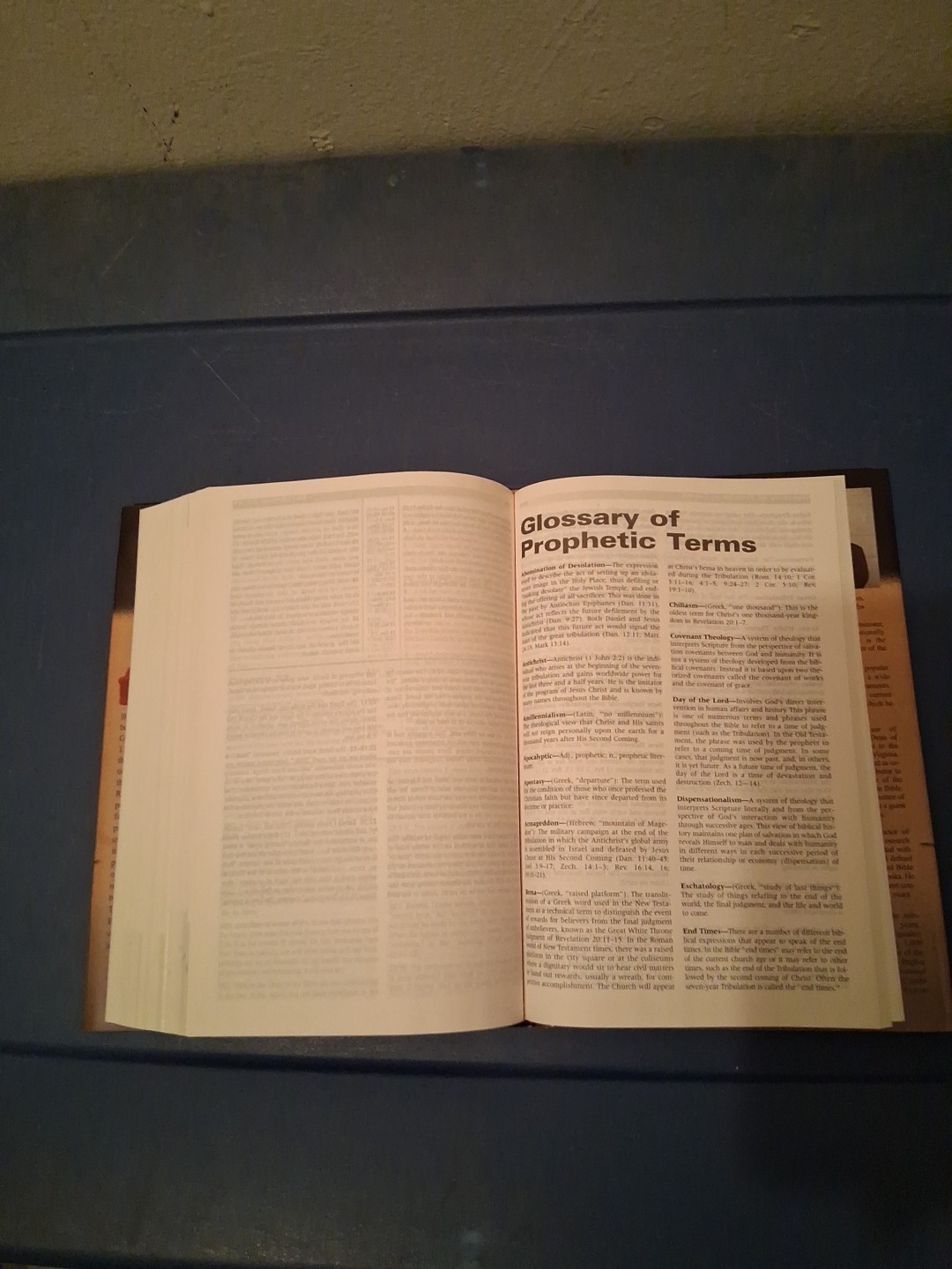 Prophecy Study Bible by Tim Lahaye (2000, Hardcover)