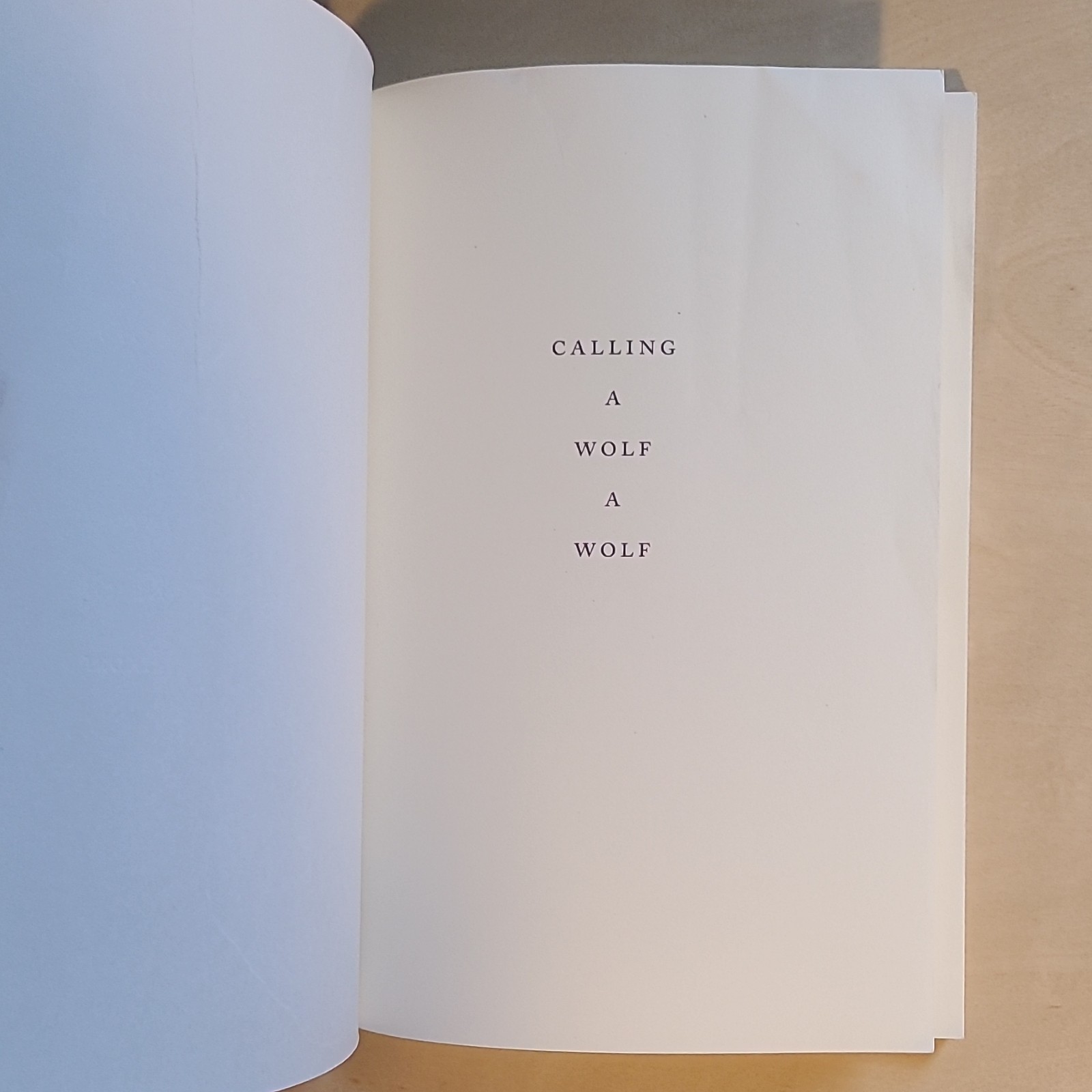 Poetry Bundle: Rumi & Kaveh Akbar: Essential Rumi, Calling a Wolf a Wolf