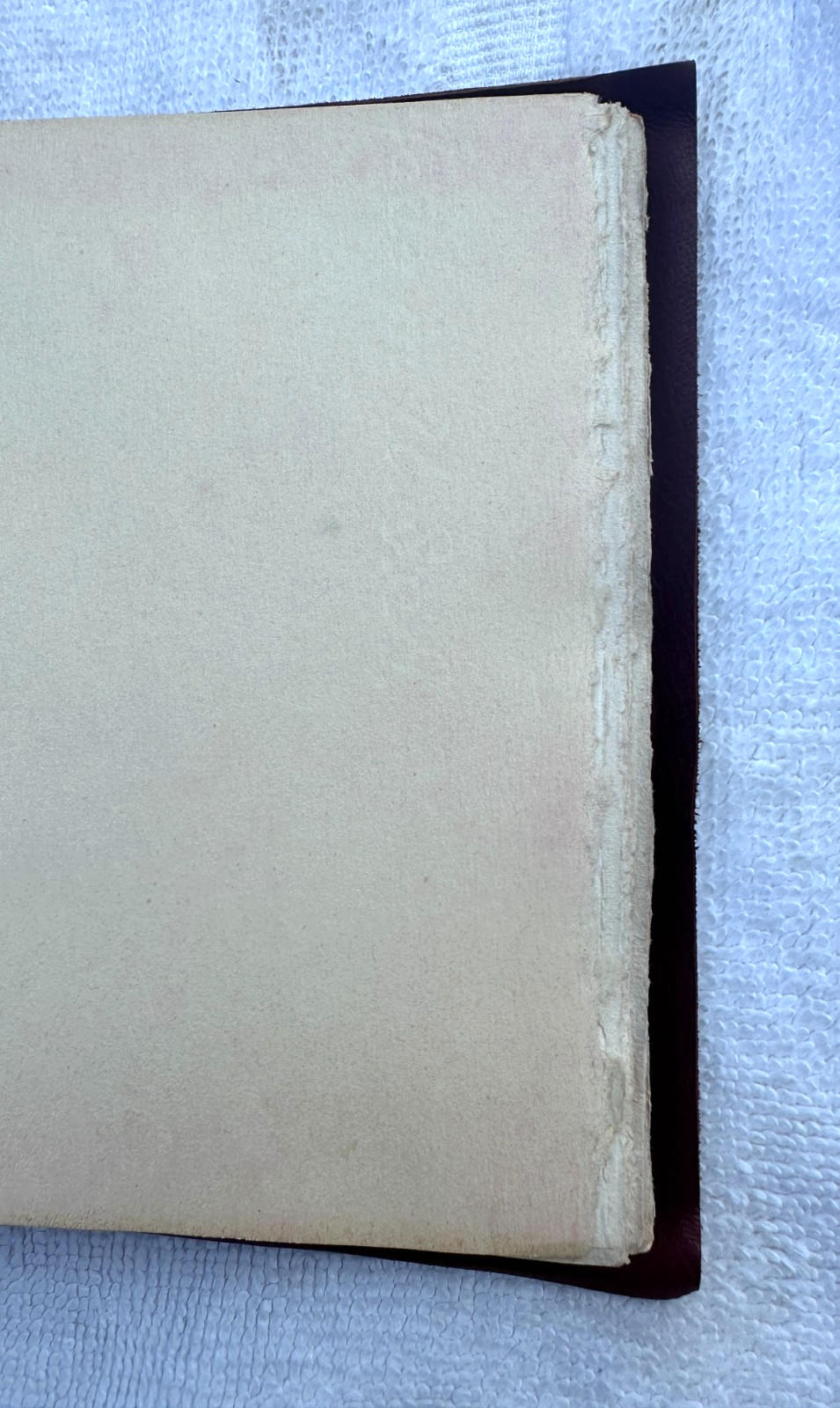 Vintage 1922 The Rubaiyat Of Omar Khayyam Suede Cover Book by Roycrofters w/ Box