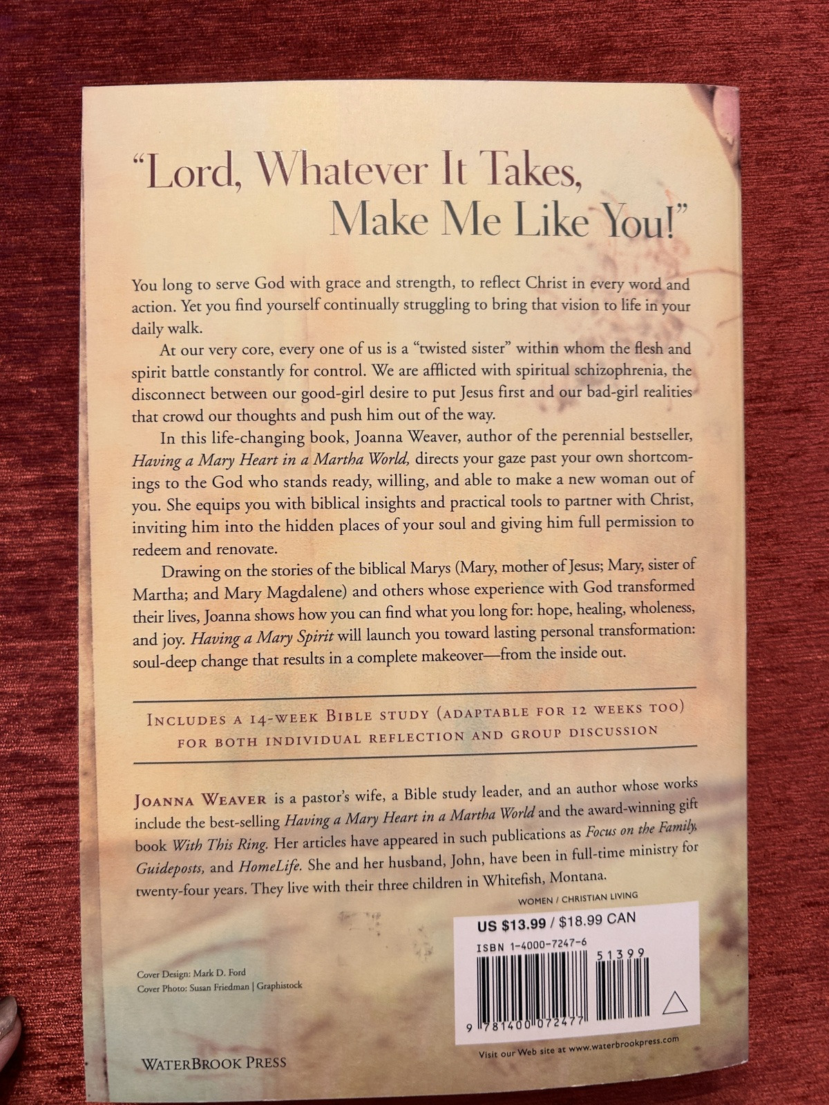 Having a Mary Spirit by Joanna Weaver (2006 : TPB ) First Edition