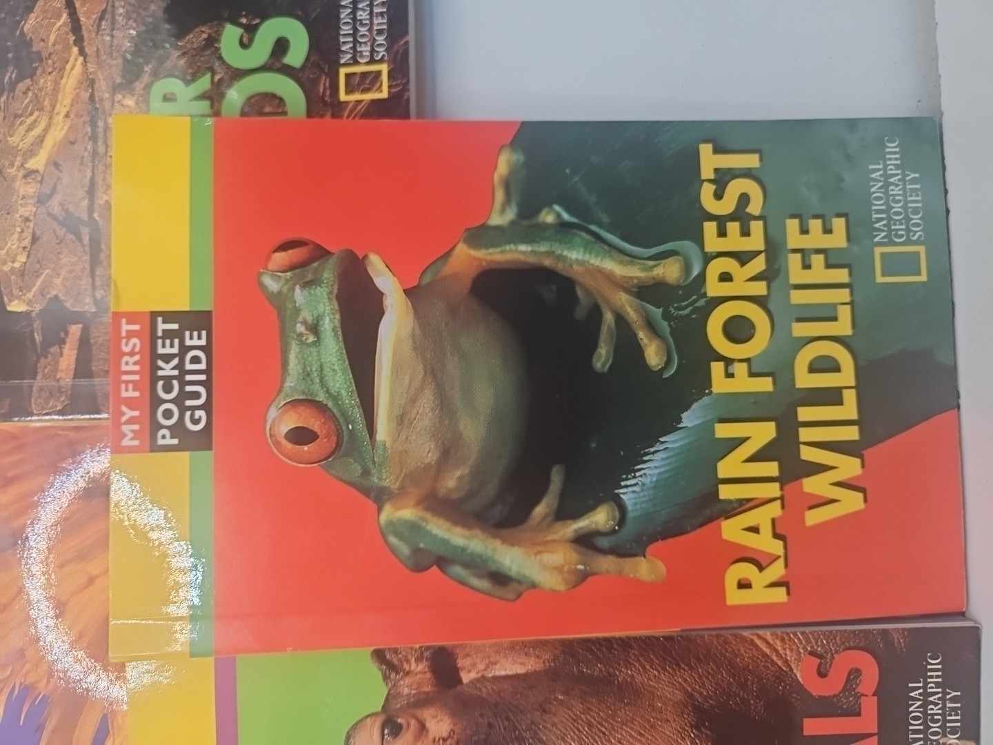 National Geographic My First Pocket Guides: Big Collection 11 Books science