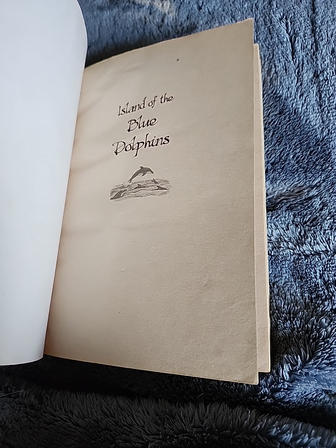 Island of the Blue Dolphins – Paperback By O’Dell, Scott – GOOD