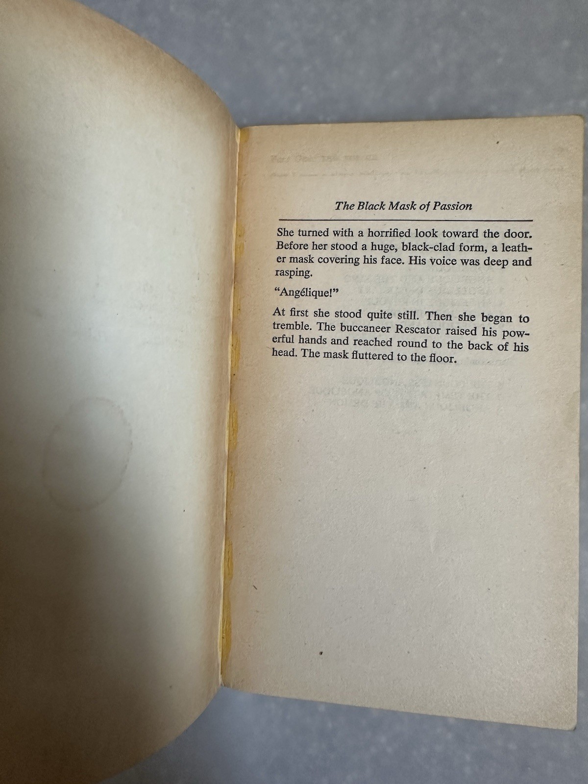 Angelique: In Love/And The King By Sergeanne Golon Vintage 1980s Romance PB