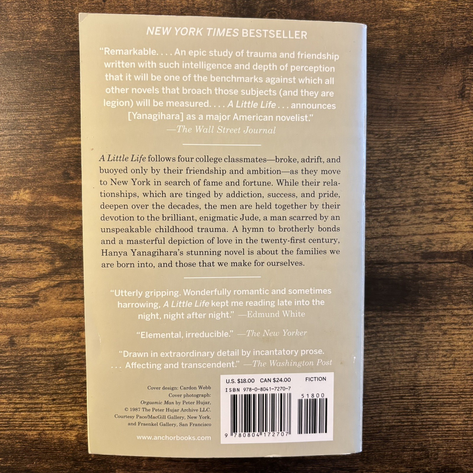 Little Life by Hanya Yanagihara (2016, Trade Paperback)