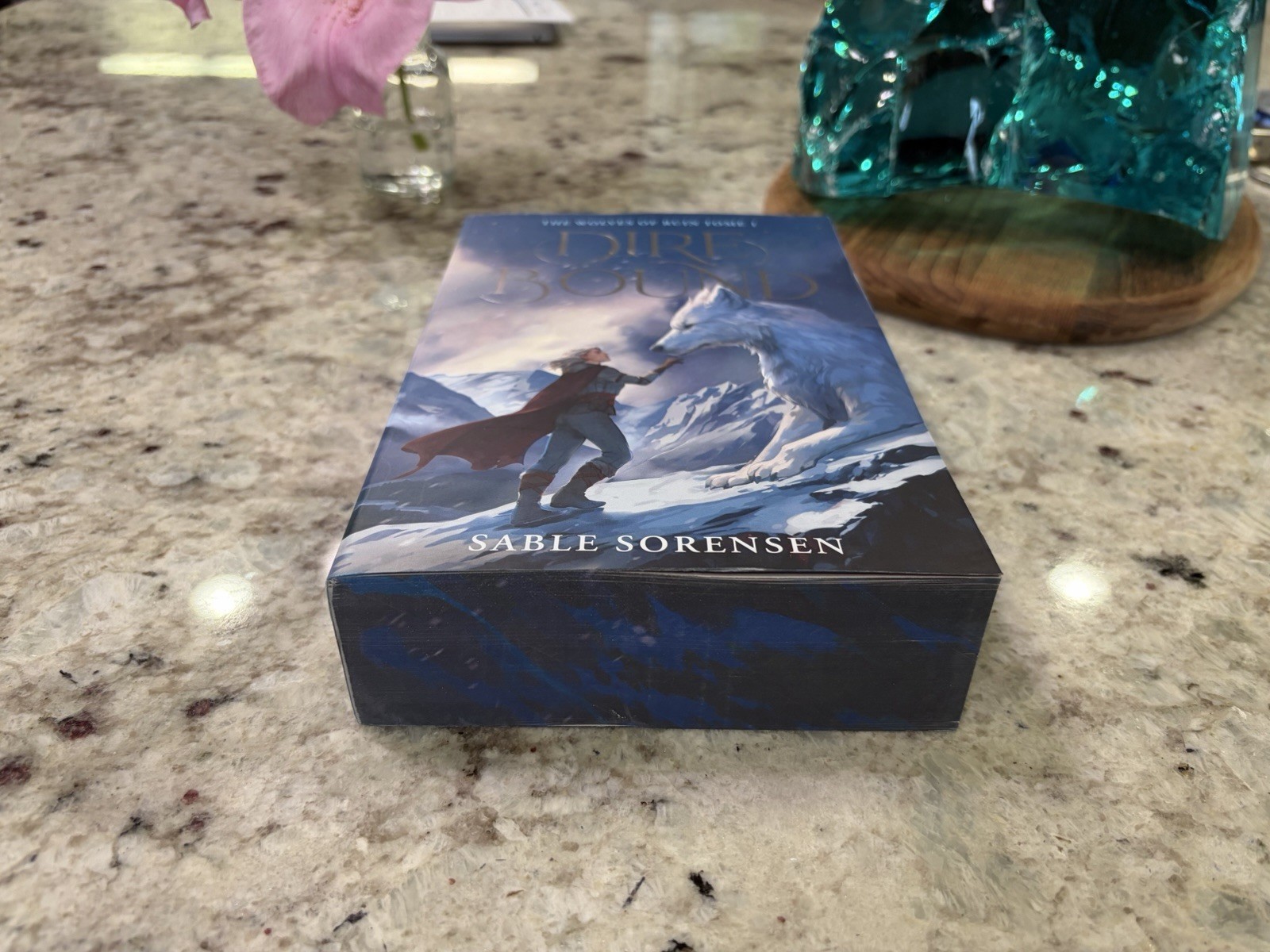 Dire Bound (Deluxe Limited Edition) by Sable Sorensen (2026, Paperback)