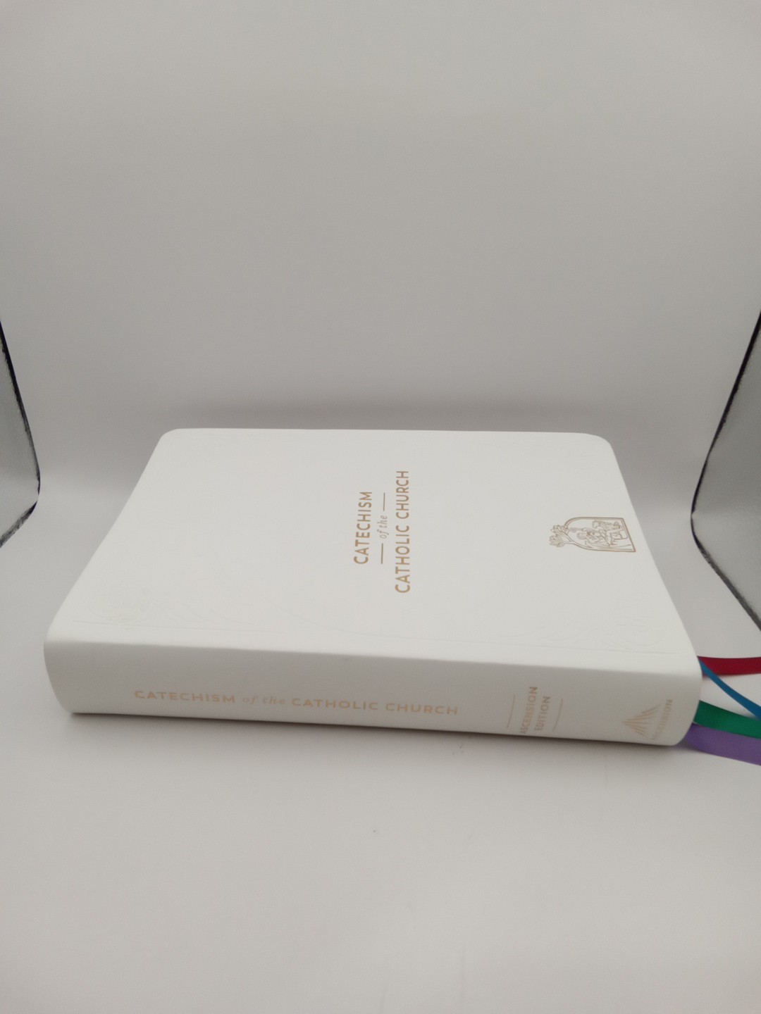 Catechism of the Catholic Church by Fr. Mike Schmitz ( 2022, Ascension Press)
