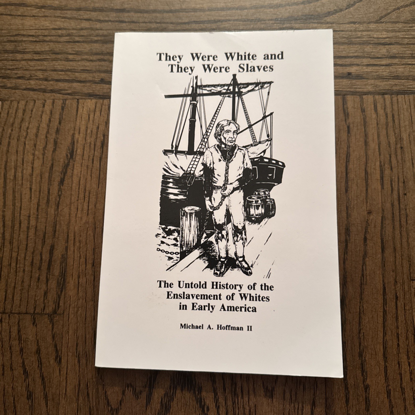 They Were White and They Were Slaves: The Untold History of the Enslavement PB