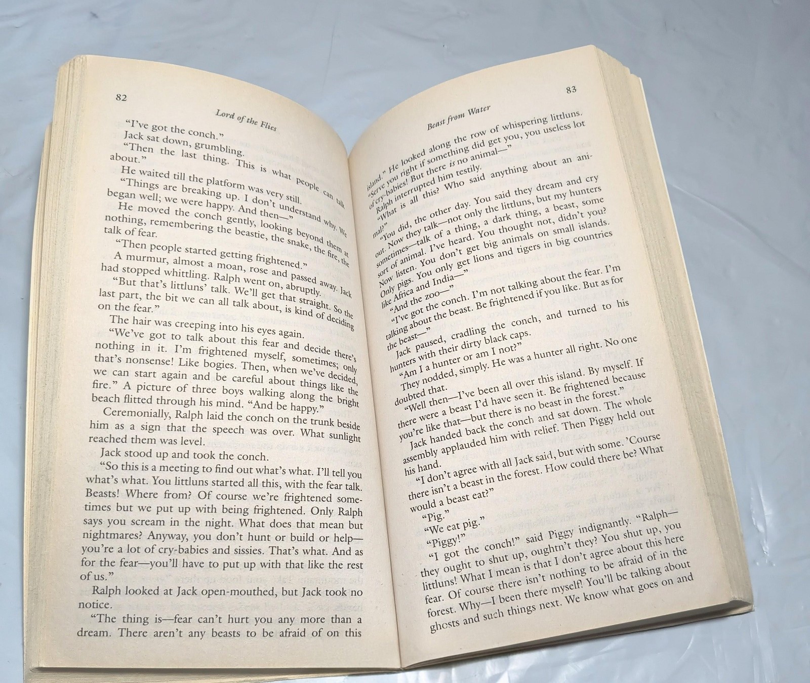 Lord Of The Flies William Golding Paperback Novel Classic Fiction 2015 Perigee