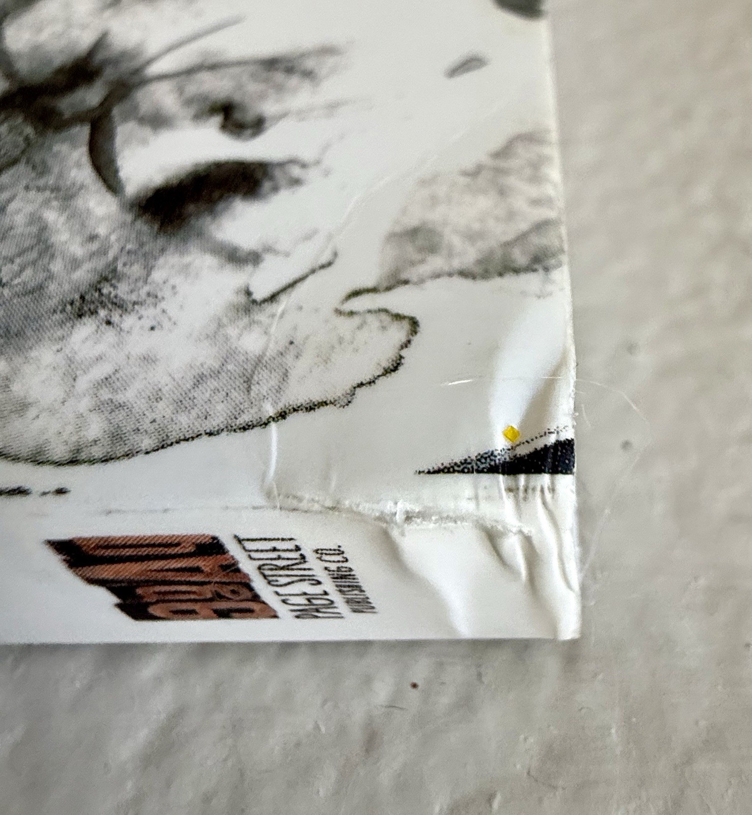 15-Minute Watercolor Masterpieces Create Frame-Worthy Art Book by Anna Koliadych
