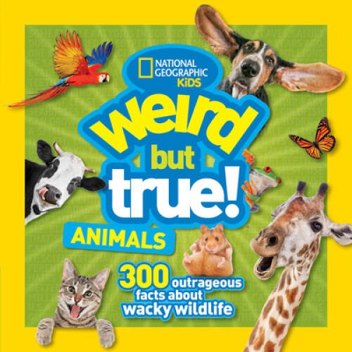 Weird But True Animals – Paperback By Kids, National Geographic – GOOD