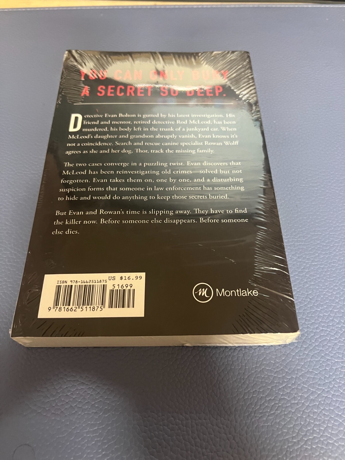 The Next Grave (Columbia River) Paperback – December 10, 2024 by Kendra Elliot