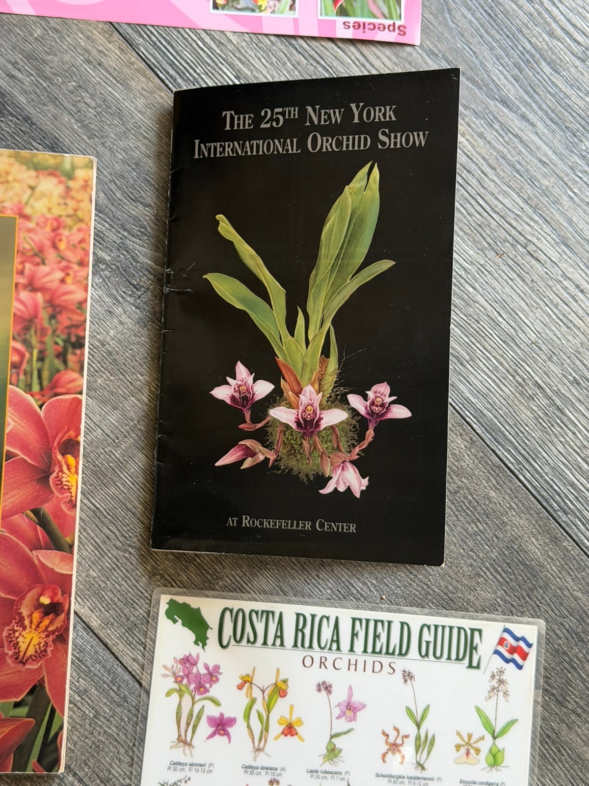 ORCHID Book 8pc Lot Field Guide Hardcover Softcover Gardening Flowers Floristry