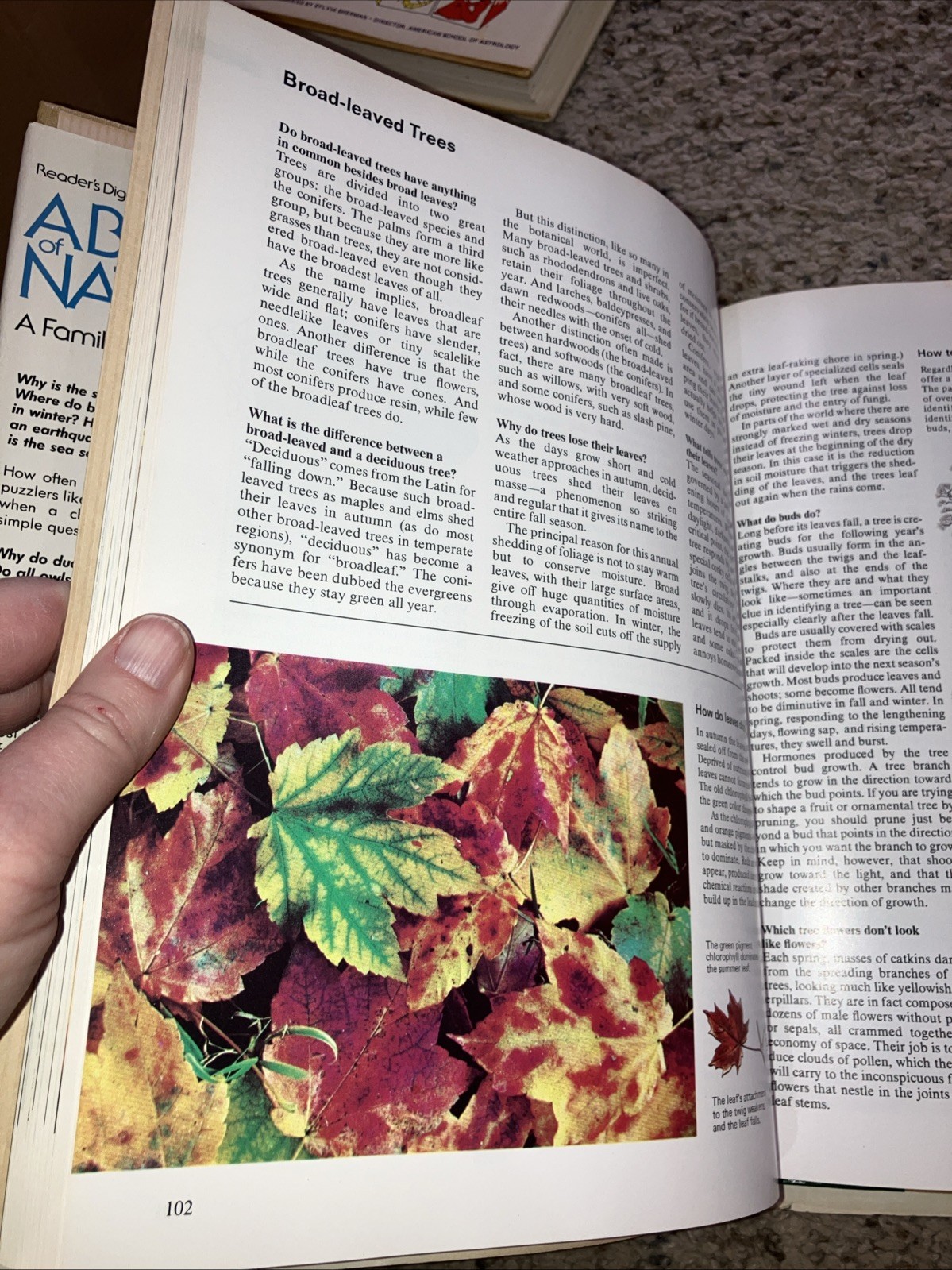 Readers Digest ABC’s of Nature HC 1984 336 Pages Dust Jacket Family Answer Book