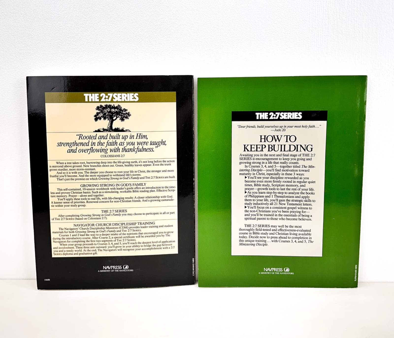 Growing Strong in God’S Family: Rooted and Built up in Him -The 2:7 Series 2 LOT