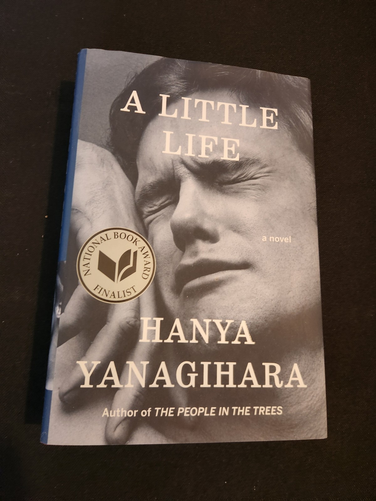 Little Life : A Novel by Hanya Yanagihara (2015, Hardcover)