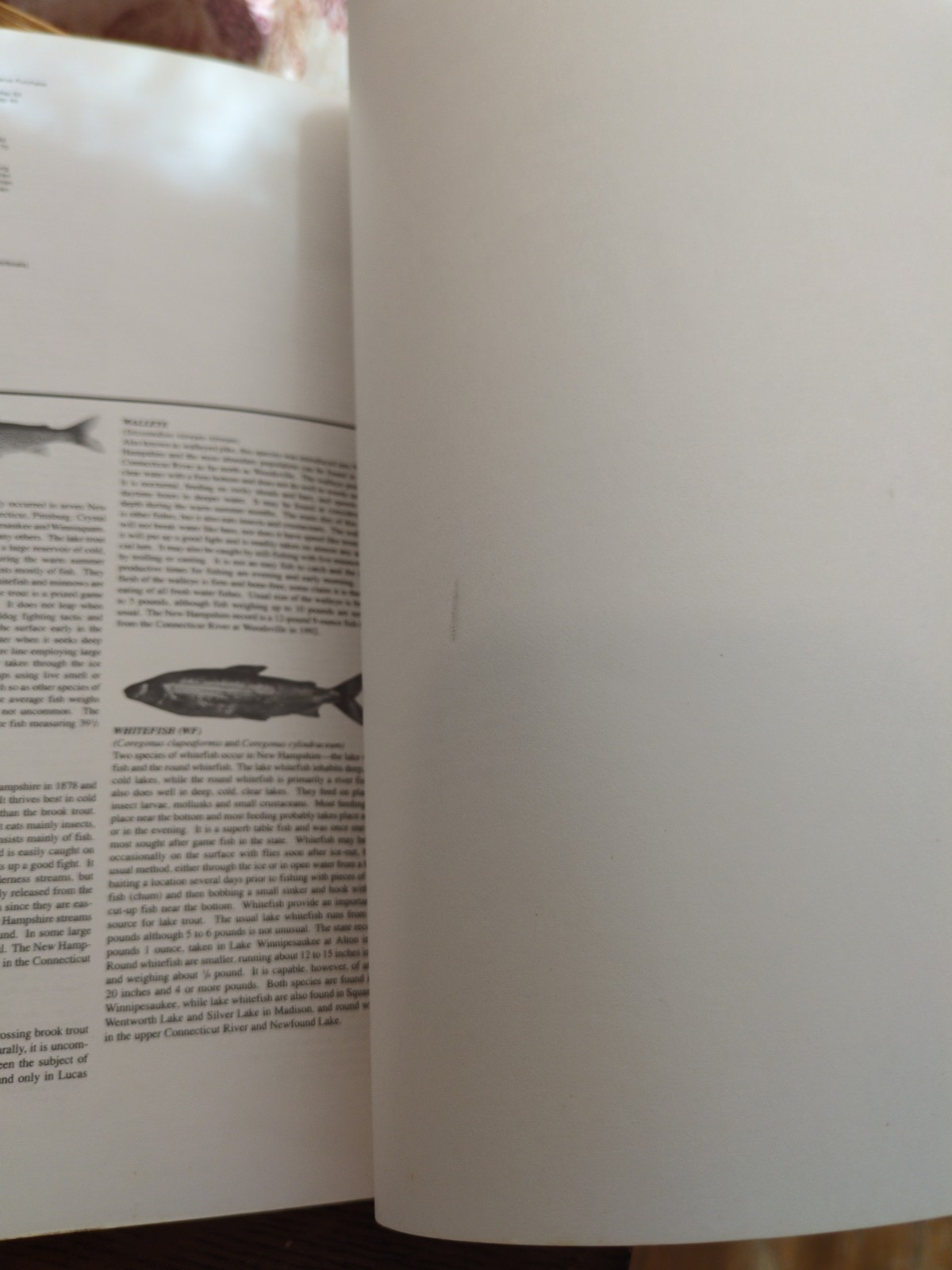 New Hampshire Fishing Maps Book by Swasey & Wilson 1998