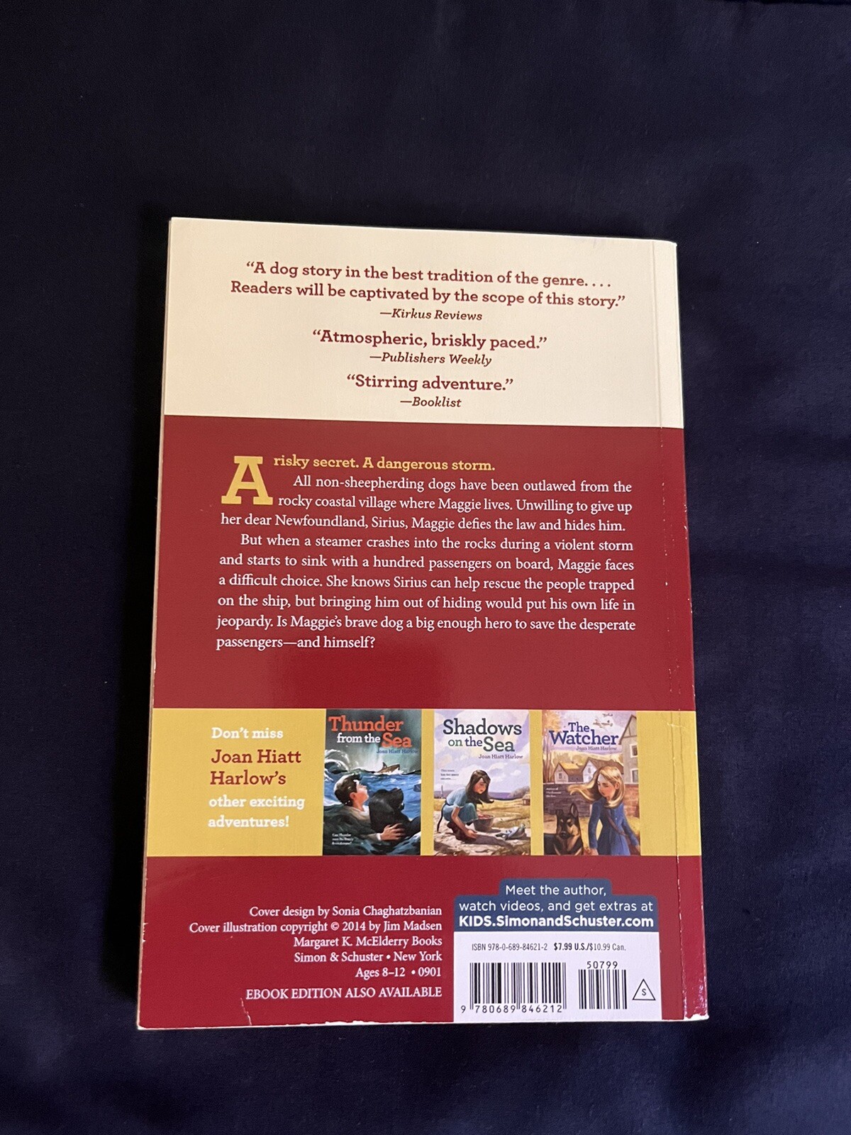 Star in the Storm, Paperback, 144 pages, Dimensions 5.5 x 0.6 x 8.25 inches