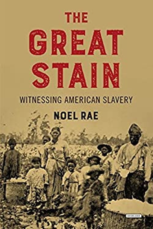The Great Stain : Witnessing American Slavery Hardcover Noel Rae