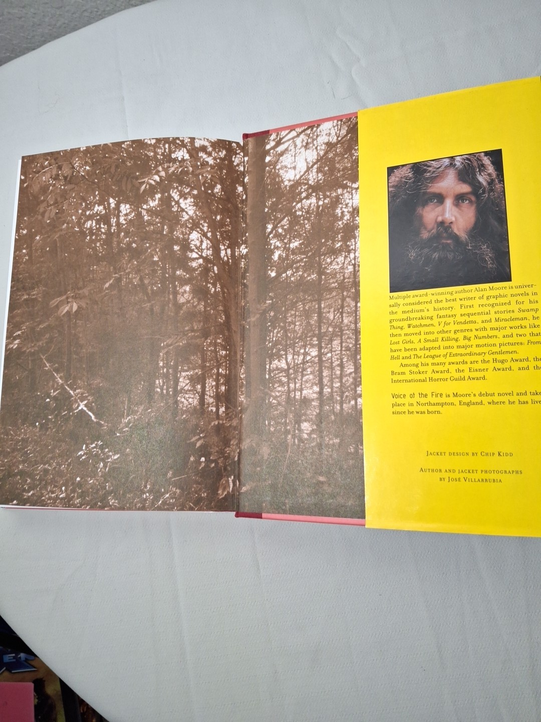 Voice of the Fire by Alan Moore (2004, Hardcover)