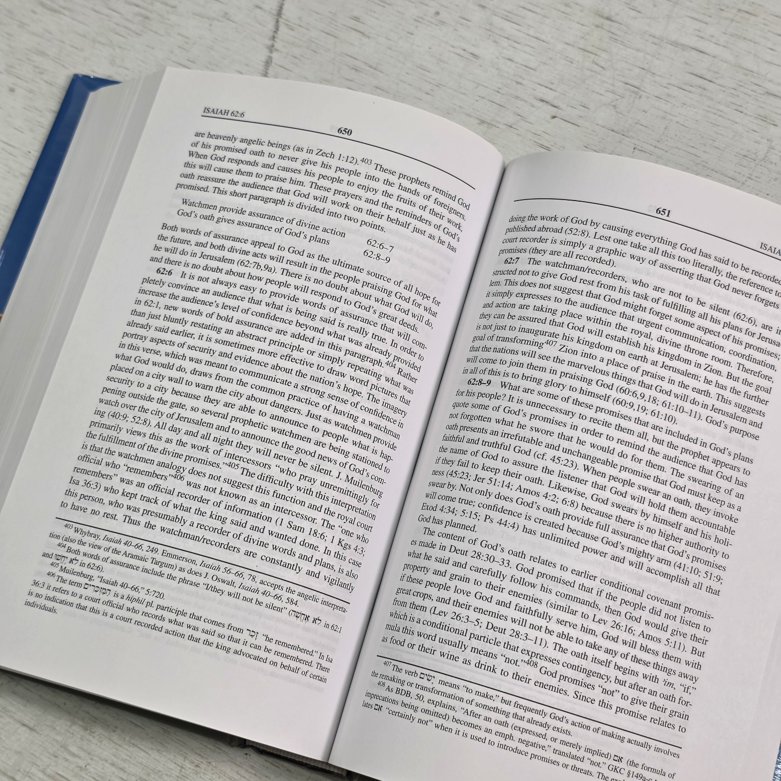 Isaiah 40-66: An Exegetical and Theological Exposition New American Commentary