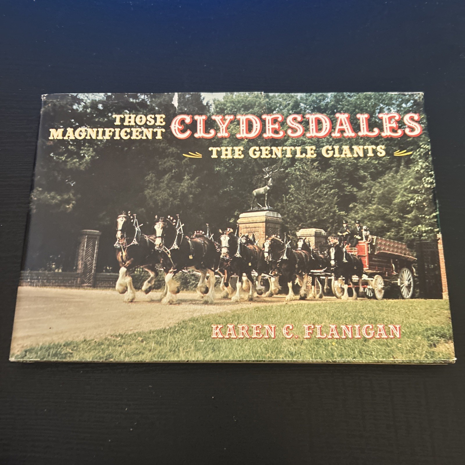 THOSE MAGNIFICENT CLYDESDALES: THE GENTLE GIANTS By Karen C. Flanigan