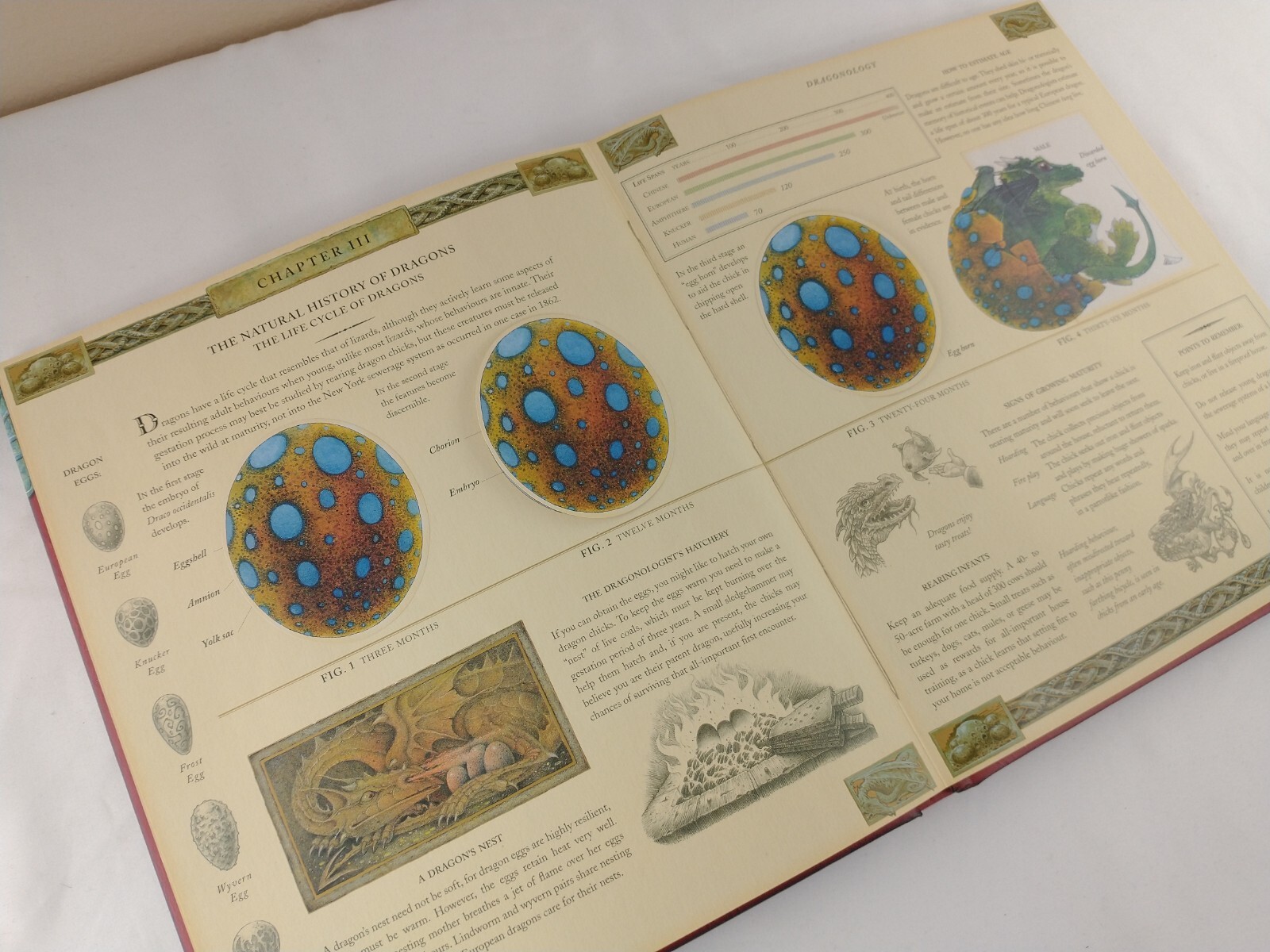 Ologies Ser.: Dragonology : The Complete Book of Dragons by Ernest Drake (2003,