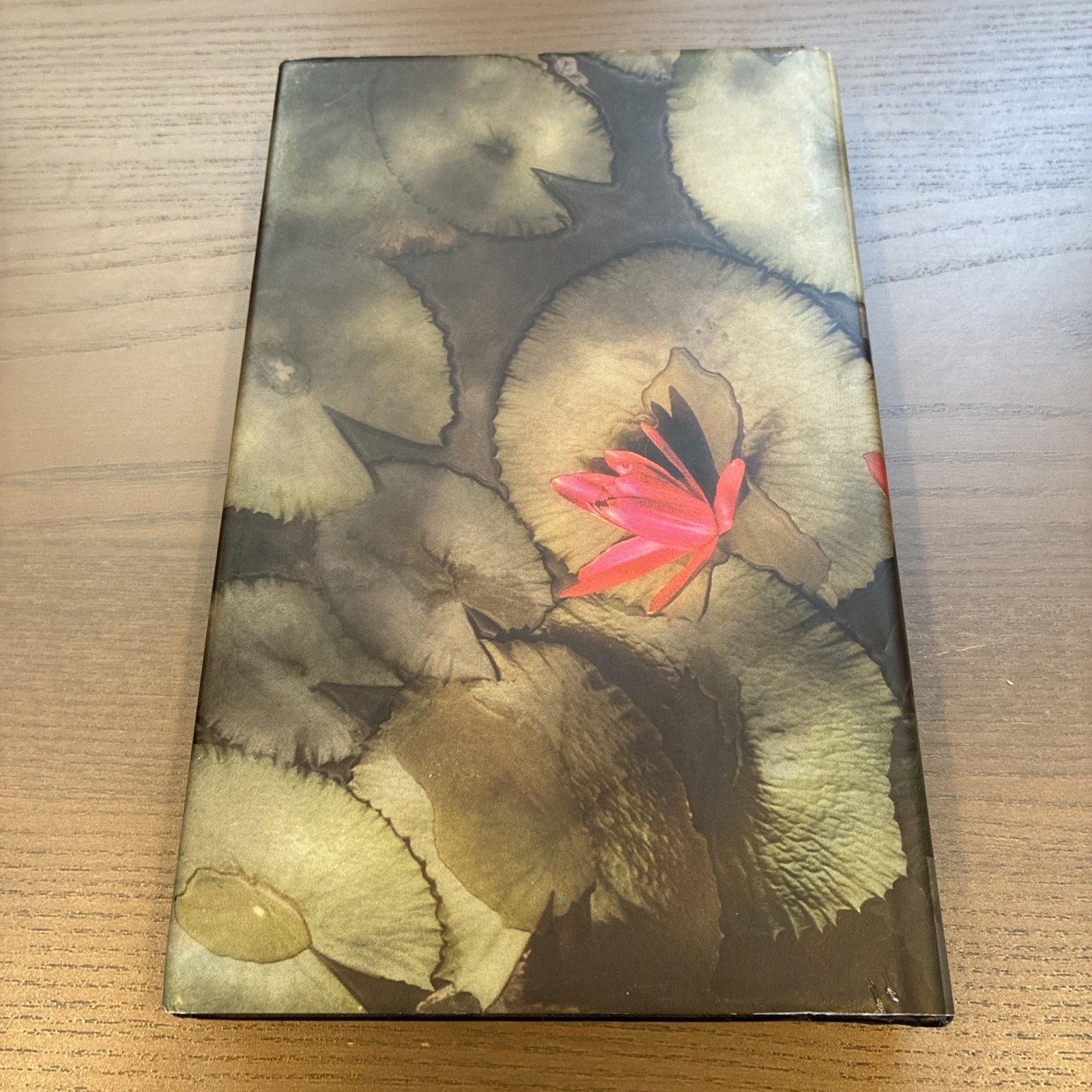 INDIA INK EDITION The God of Small Things By Arundhati Roy (1997, Hardcover)
