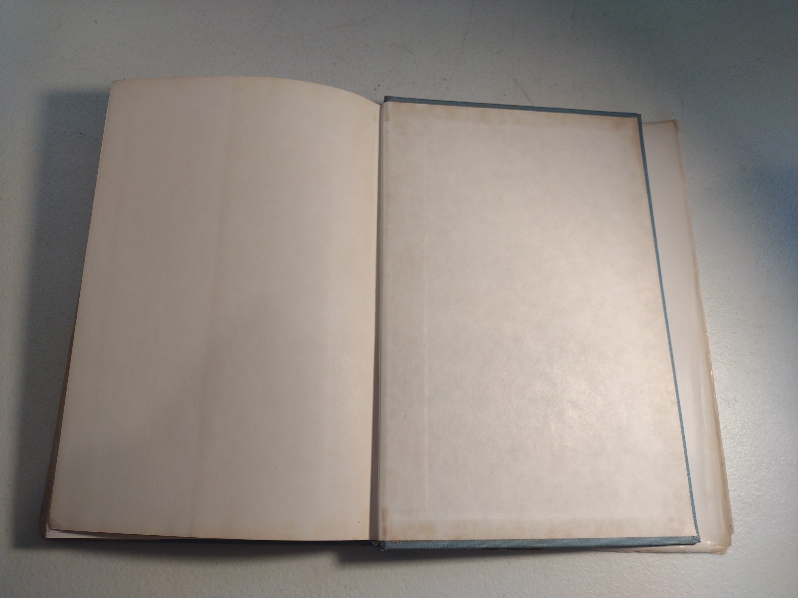 Clarence Larkin Prophecy Lot Book of Revelation 1919 & Book of Daniel 1929