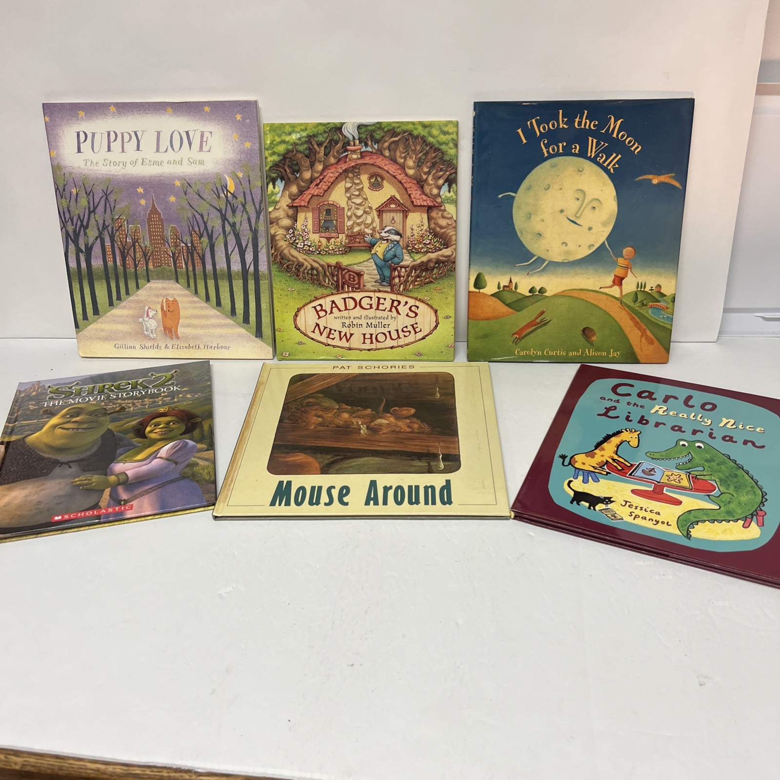 Children’s Picture Book Lot of 6 Preschool Storytime Classroom Books