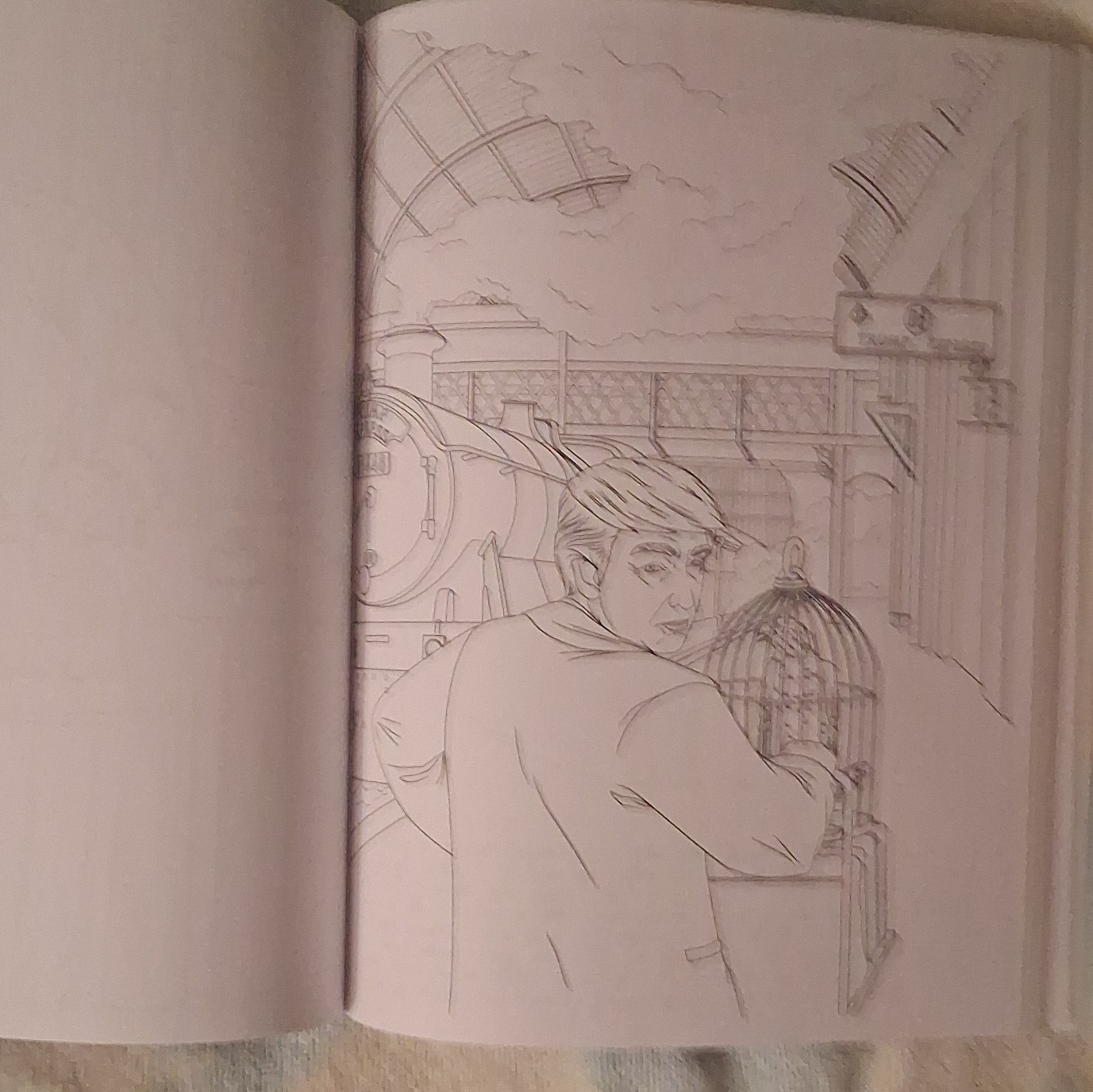 The Trump Coloring Book by M.G. Anthony, Paperback, Post Hill Press, Humor