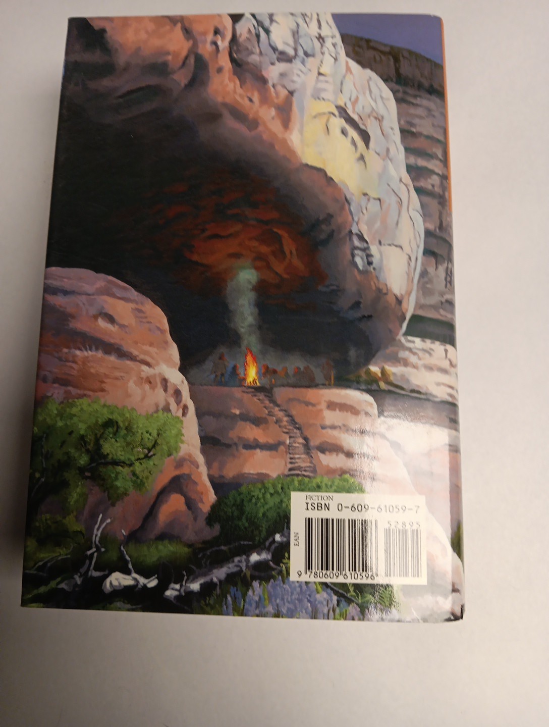 Earth’s Children Ser.: The Shelters of Stone by Jean M. Auel Hardcover 1st Good