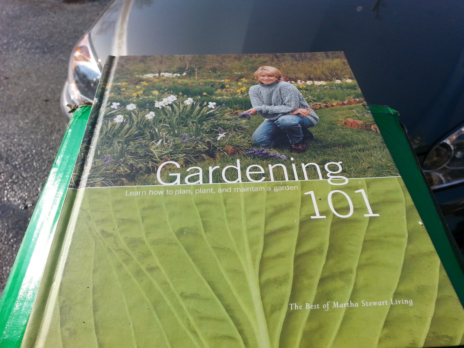 Gardening 101: Learn How to Plan, Plant, and Maintain a Garden (The Best of …