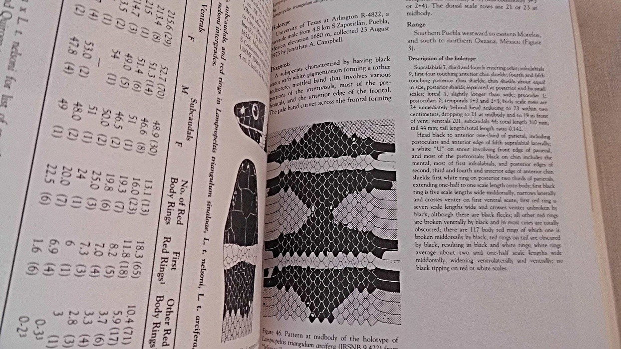 Systematics and Natural History of the American Milk Snake, Lampropeltis triangu