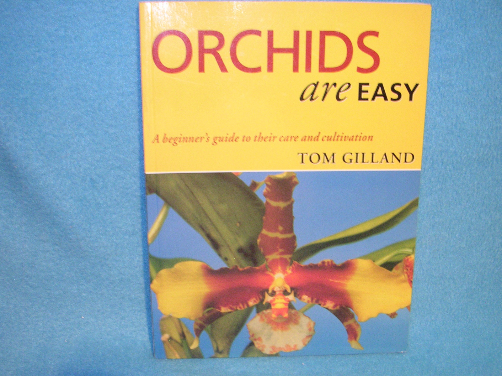 Orchids Are Easy : A Beginner’s Guide to Their Care and Cultivation by Tom Gilla