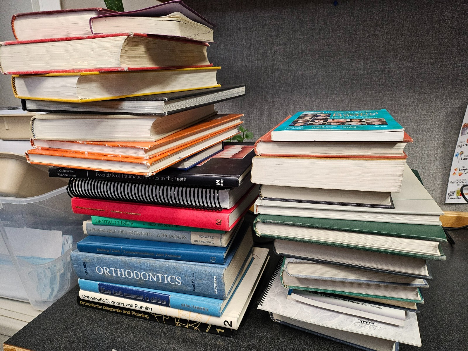 Dental Book Lot (Names of Books Listed in Description)