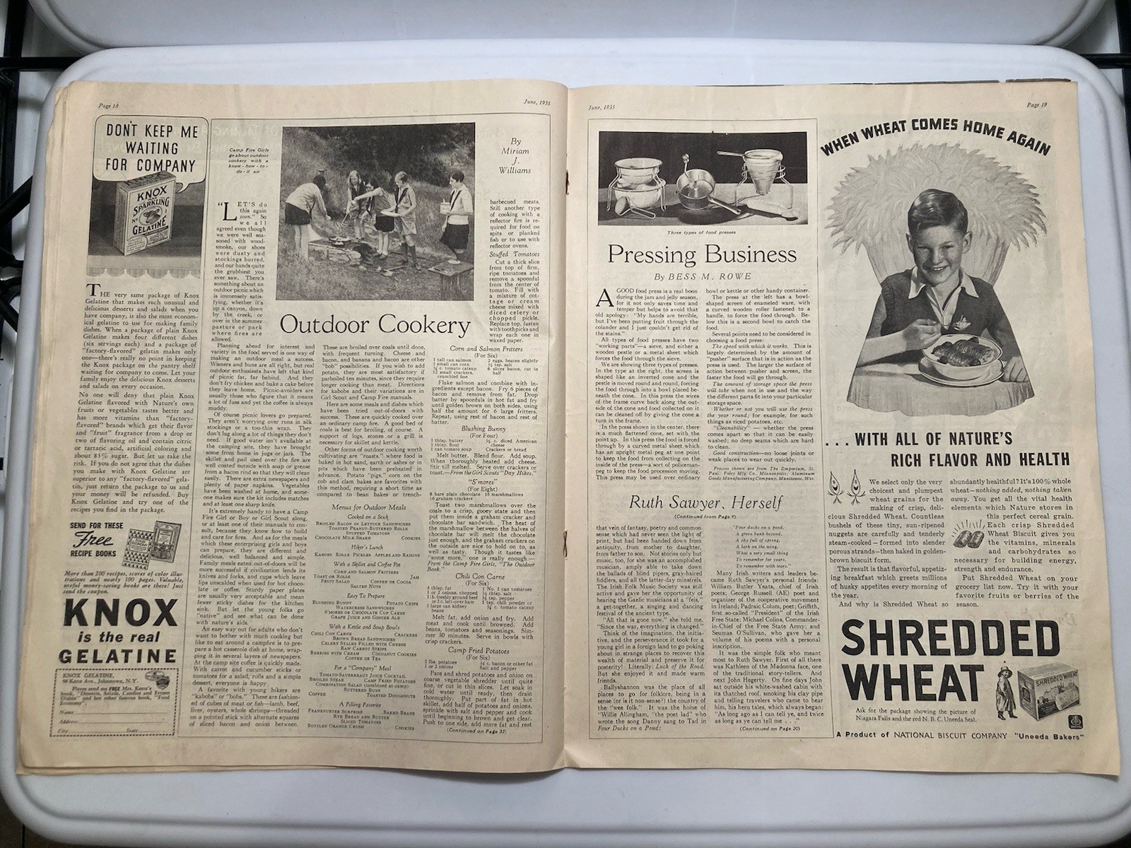 The Farmer’s Wife Magazine June 1935 Jules Erbit Cover Vtg Ads Articles Recipes
