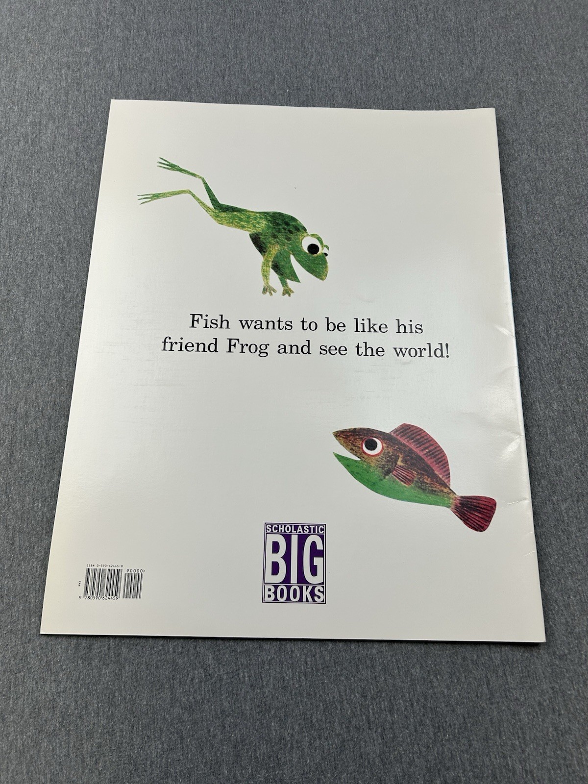 Lot Of 10 Oversized Classroom Teacher Big Books Easel Lionni Heller Carle