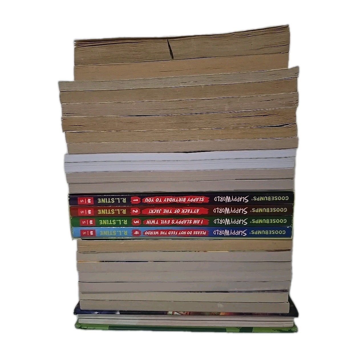 R.L. Stine Book Lot Of 24- Fear Street, Twisted, Rotten School, Goosebumps,