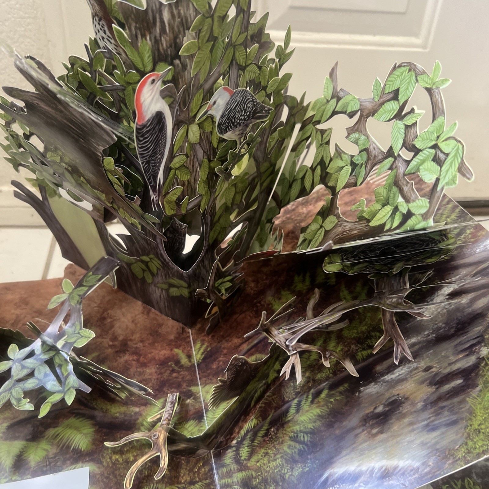 Birdscapes Pop Up Book Cornell Lab Miyoko Chu 2008 WORKING SOUND Birdsongs Audio