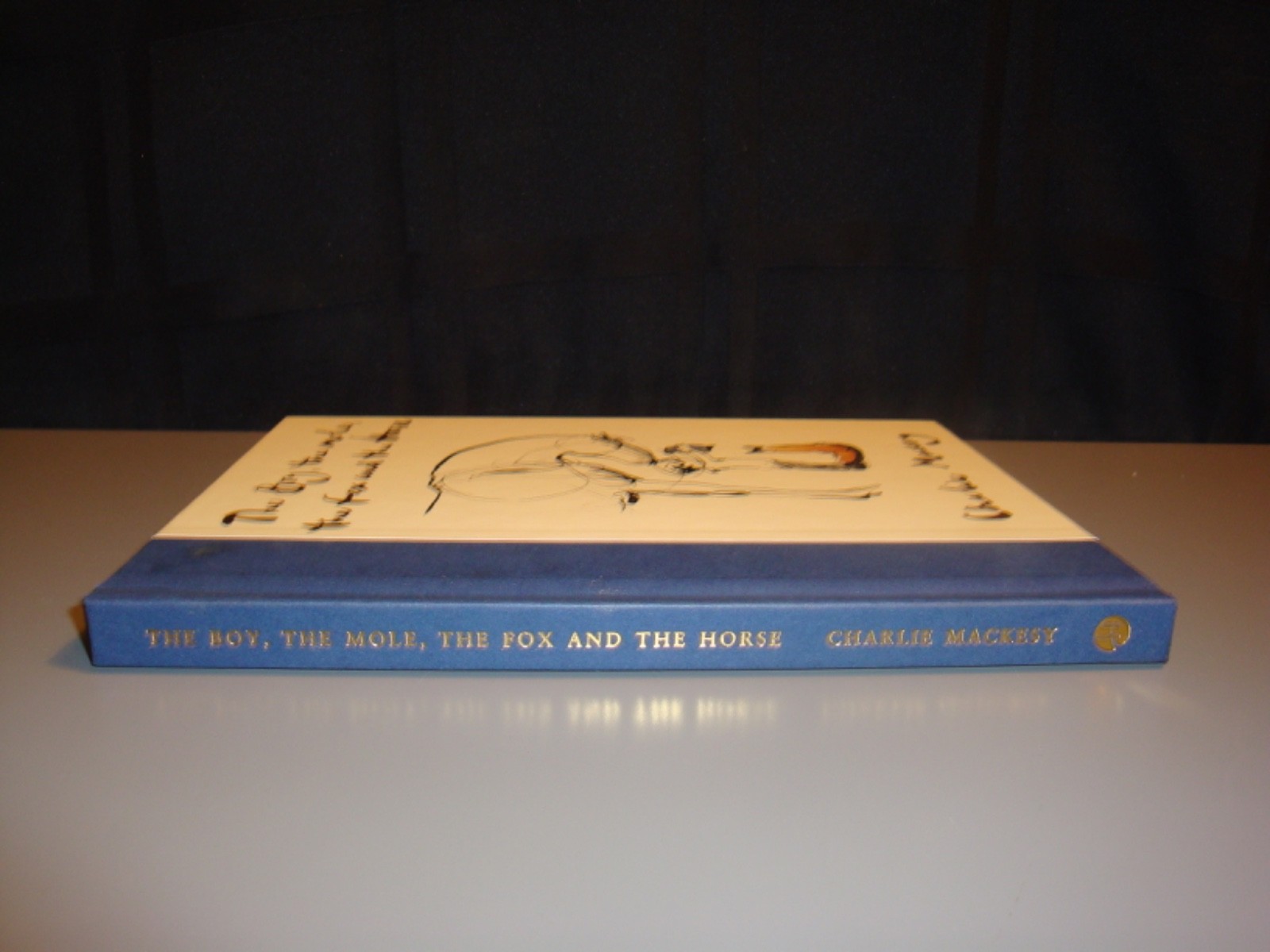 The Boy The Mole The Fox and the Horse Hardcover Charlie Mackesy Philosophy Art