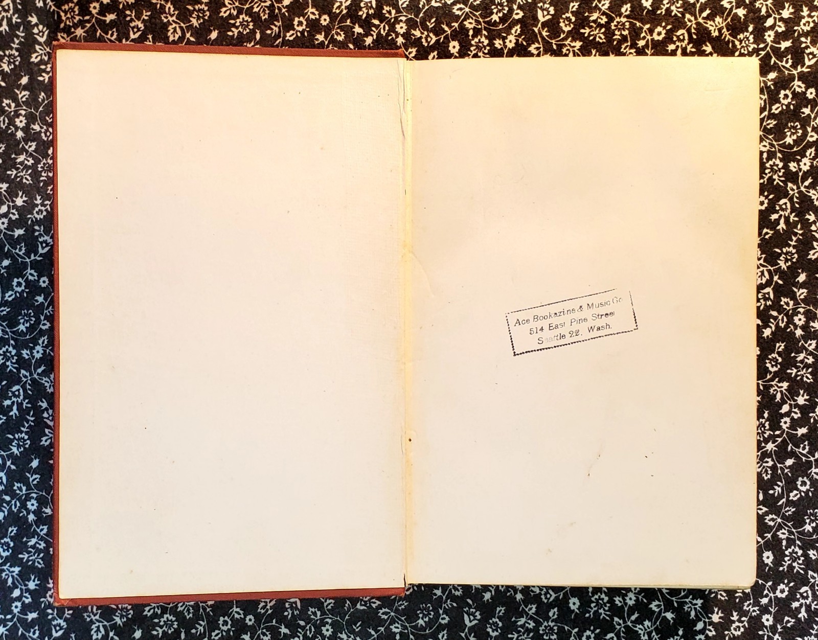 Buffalo Roost, F. H. Cheley, 1913, First Edition, Hardcover, Antique