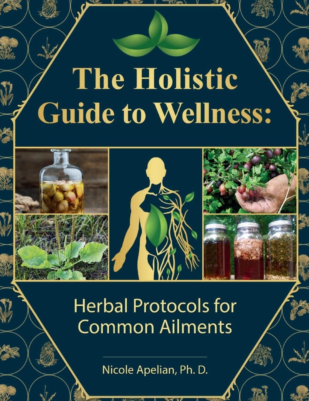The Holistic Guide to Wellness : Herbal Protocols for Common Ailments Nicole…