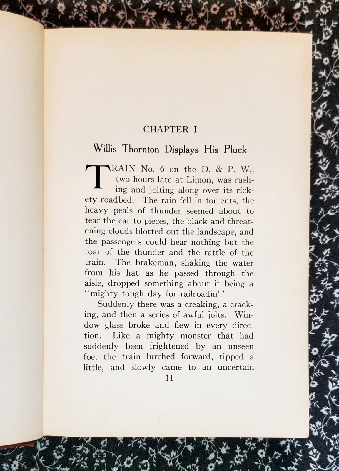 Buffalo Roost, F. H. Cheley, 1913, First Edition, Hardcover, Antique