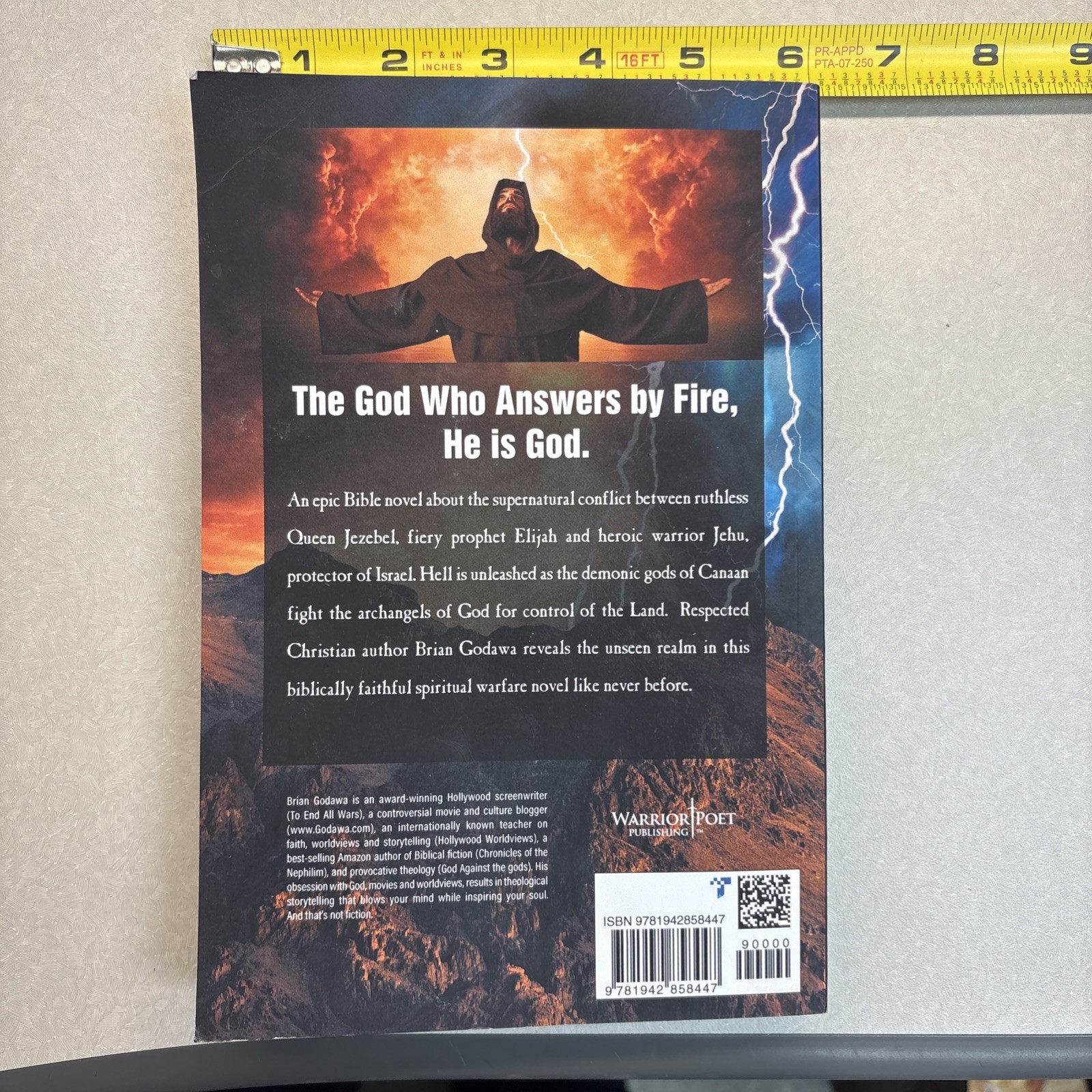 Jezebel : Harlot Queen of Israel by Brian Godawa (2019, Trade Paperback)