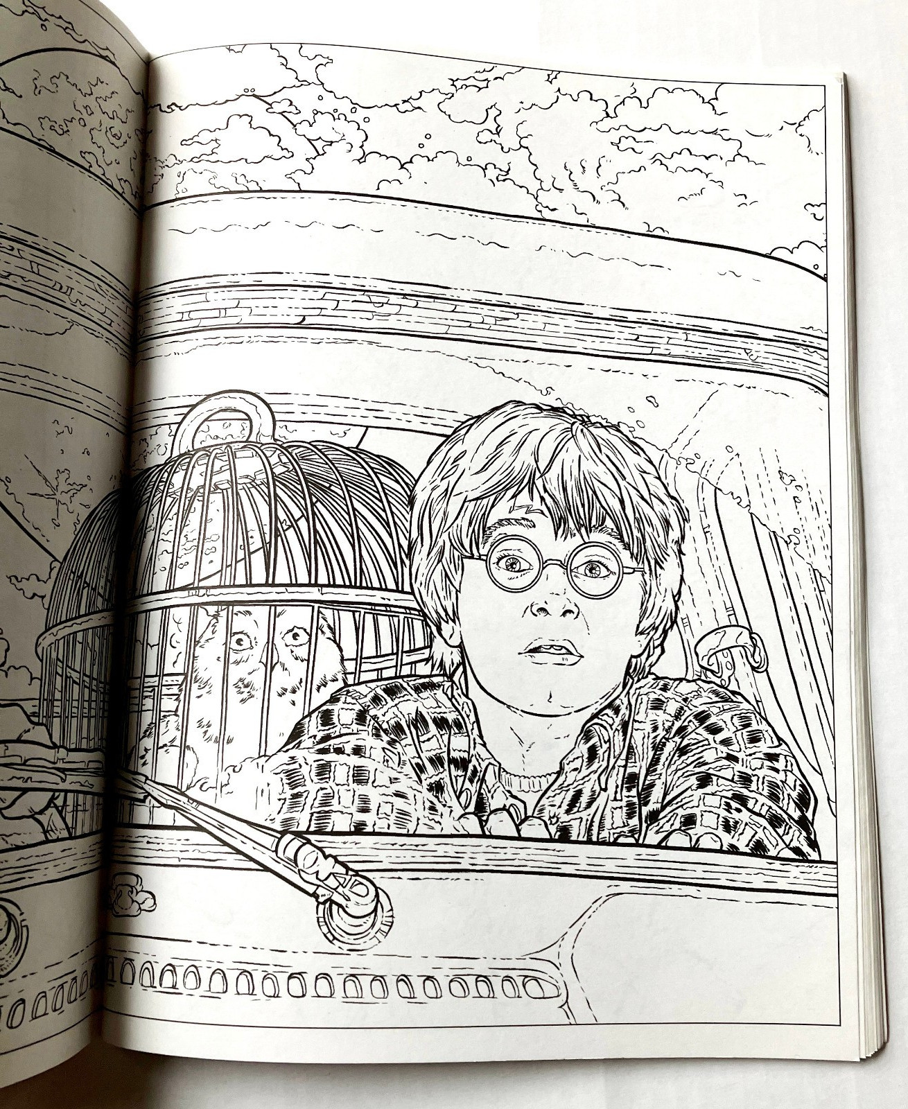Harry Potter Chamber of Secrets ART COLORING Book: TRACE A SCENE and Color! NEW