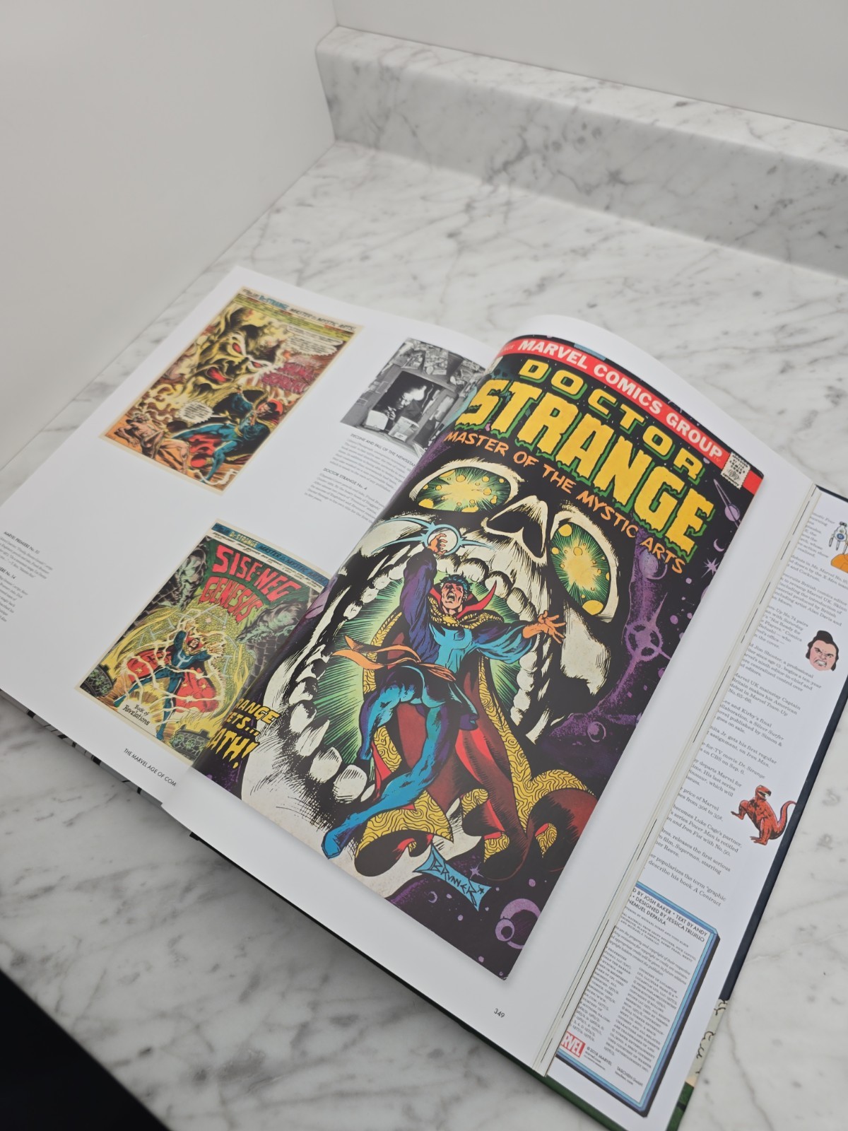 The Marvel Age of Comics 1961-1978 Roy Thomas (2017 Hardcover) TASCHEN
