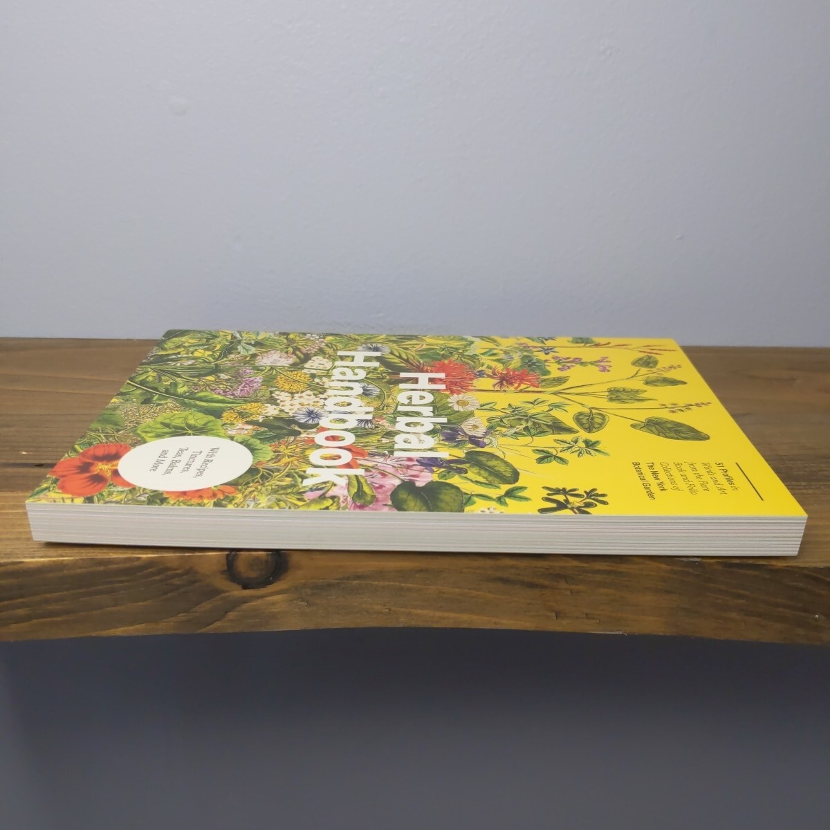 Herbal Handbook by New York Botanical Garden (Illustrated)