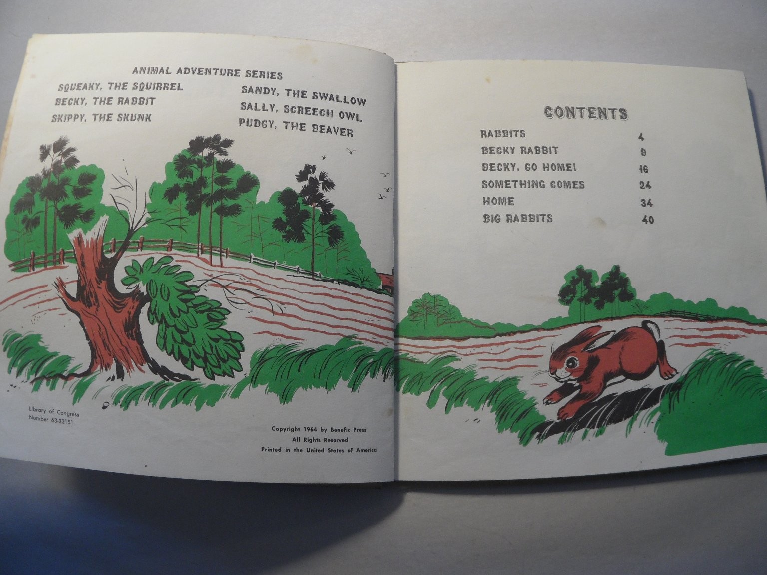 Becky, The Rabbit Gene Darby 1964 Illustrated Childrens Book Benefic Press