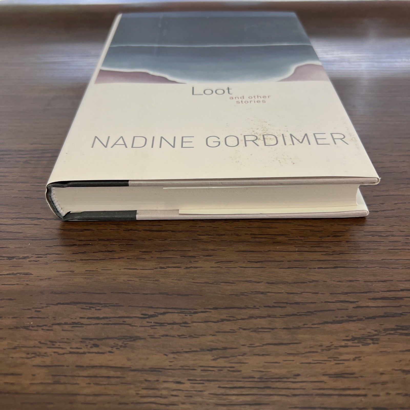 Loot : And Other Stories by Nadine Gordimer (2003, Hardcover)