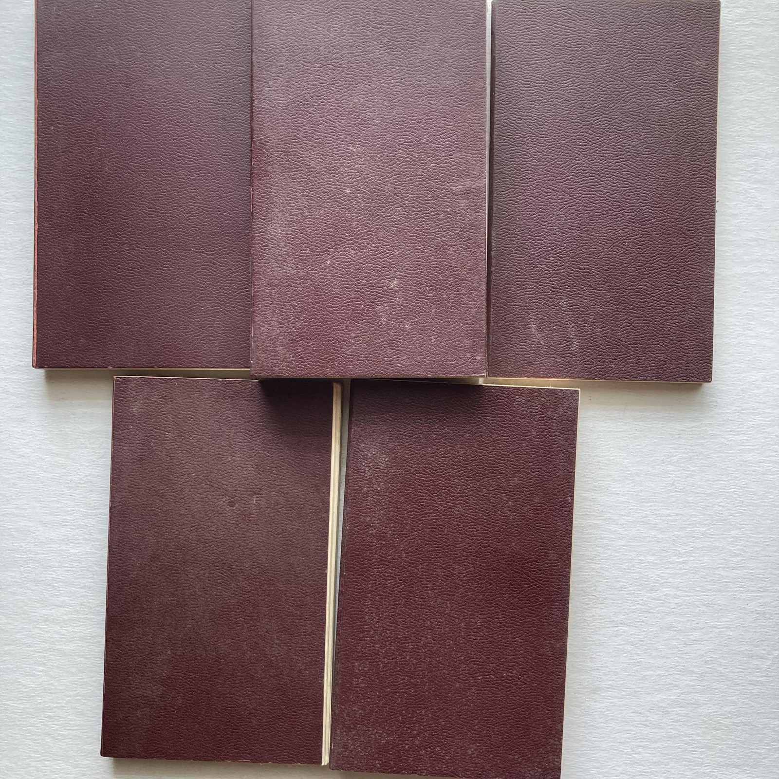 Vintage Masterworks Program Galileo Newton Darwin 5 Vol Faux Leather PB Set USA